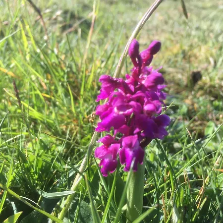 The Cuddly Cow Cosy Barn Campview Farm