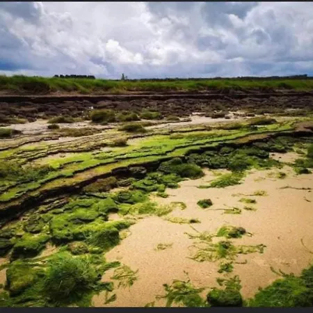 Apartamento The Cuddly Cow Cosy Barn Campview Farm