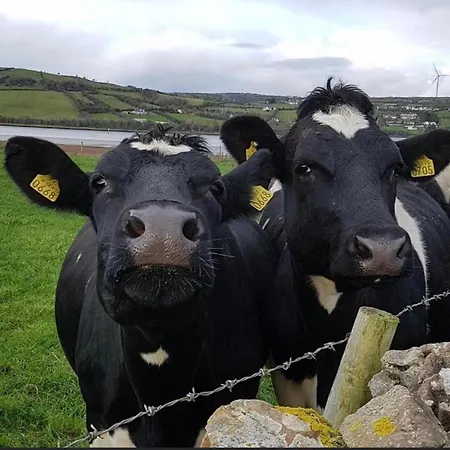 Apartamento The Cuddly Cow Cosy Barn Campview Farm