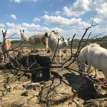 The Cuddly Cow Cosy Barn Campview Farm * Dunmuckrum