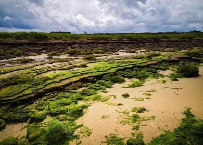 Apartment The Cuddly Cow Cosy Barn Campview Farm