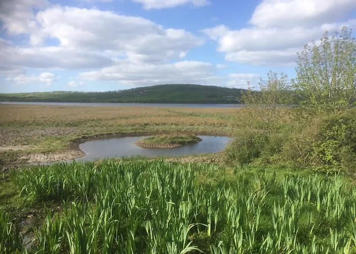 The Cuddly Cow Cosy Barn Campview Farm