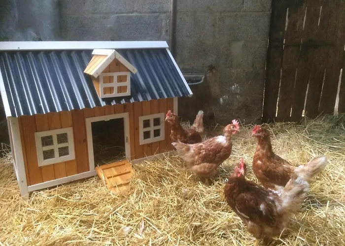 The Cuddly Cow Cosy Barn Campview Farm Dunmuckrum