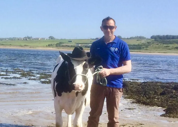 The Cuddly Cow Cosy Barn Campview Farm Apartment Dunmuckrum